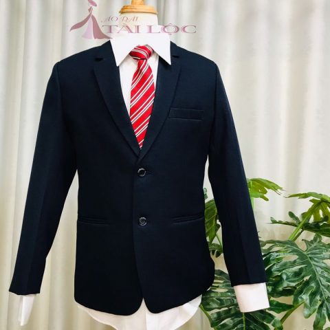 Áo Vest Nam Màu Xanh Đen 2 Nút